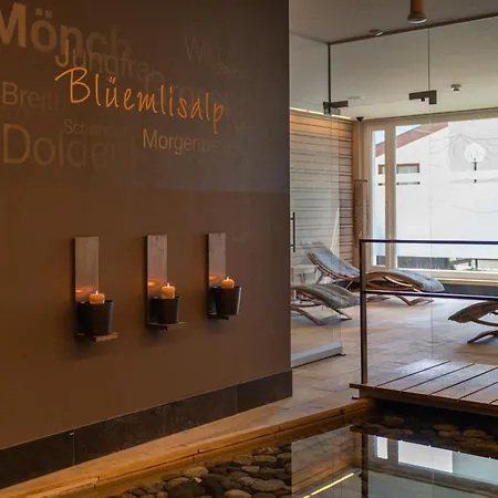 Apartment Edelweiss Direkt In 4 Sterne