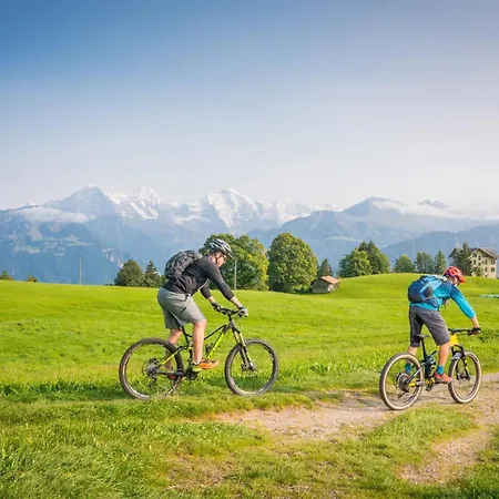 Lejlighed Edelweiss Direkt In 4 Sterne